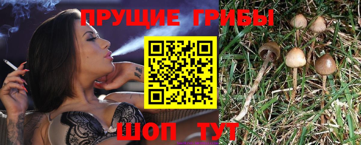 Кинель  Псилоцибиновые грибы мухоморы  Вход с VPN  Галлюциногенные грибы прущие грибы 