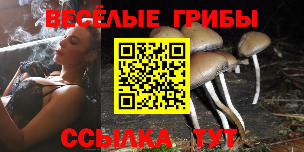 Псилоцибиновые грибы Psilocybine cubensis Кинель